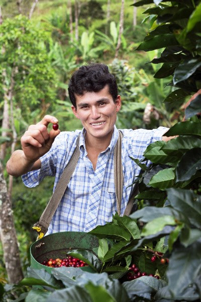coop sol y cafe peru